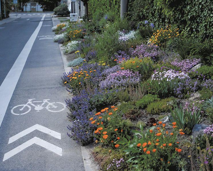 Predzáhradka číslo desať na Tomanovej ulici vo Vajnoroch.